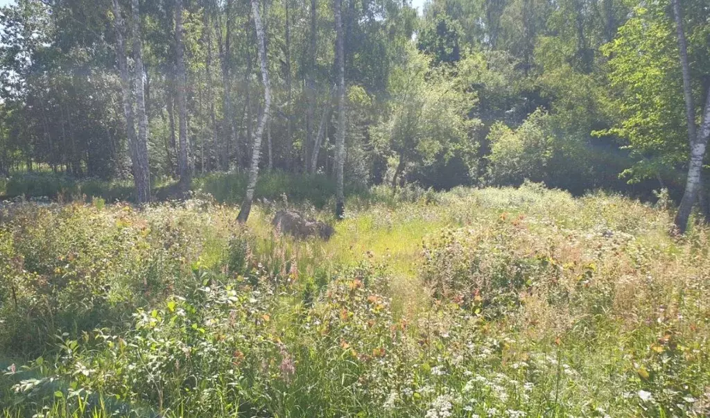 Участок в Нижегородская область, Навашинский городской округ, д. ... - Фото 1