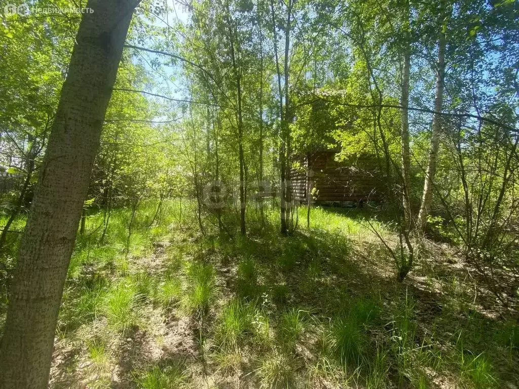 Участок в Химки, СНТ Кирилловка, 64 (9.98 м) - Фото 1