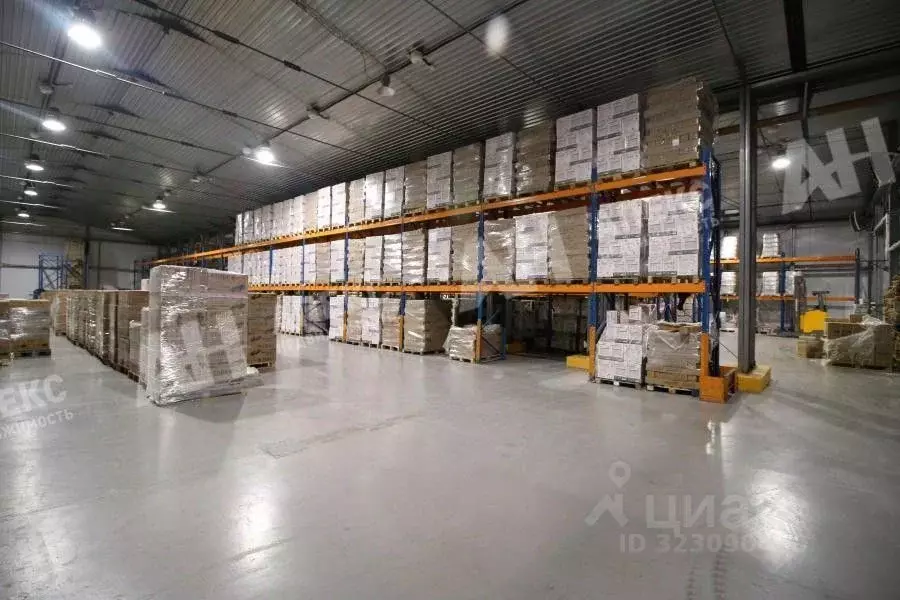 Склад в Московская область, Балашиха Кучино мкр, ул. Центральная, 50 ... - Фото 2