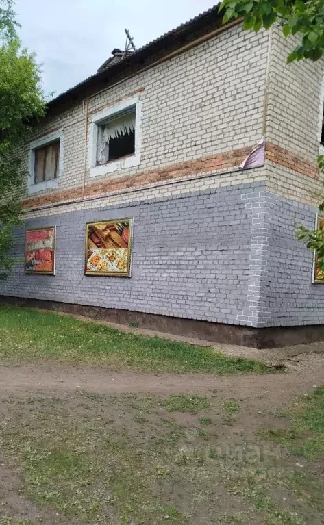 Помещение свободного назначения в Амурская область, Архаринский ... - Фото 1