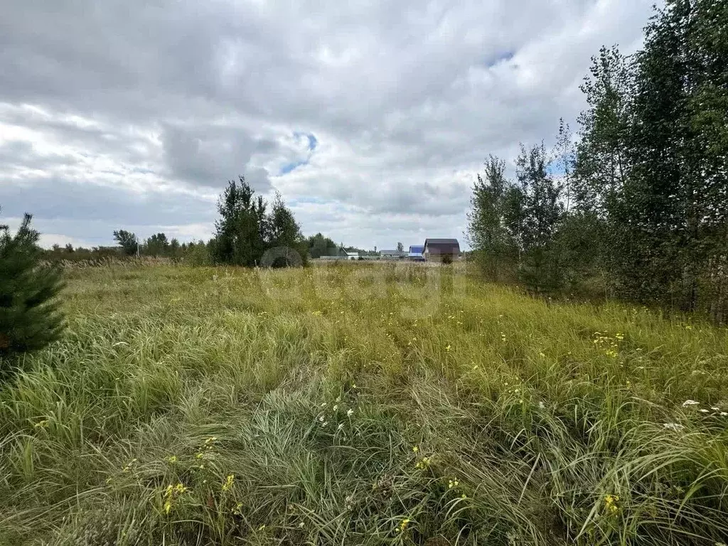 Участок в Тюменская область, Ярковский муниципальный округ, пос. ... - Фото 1