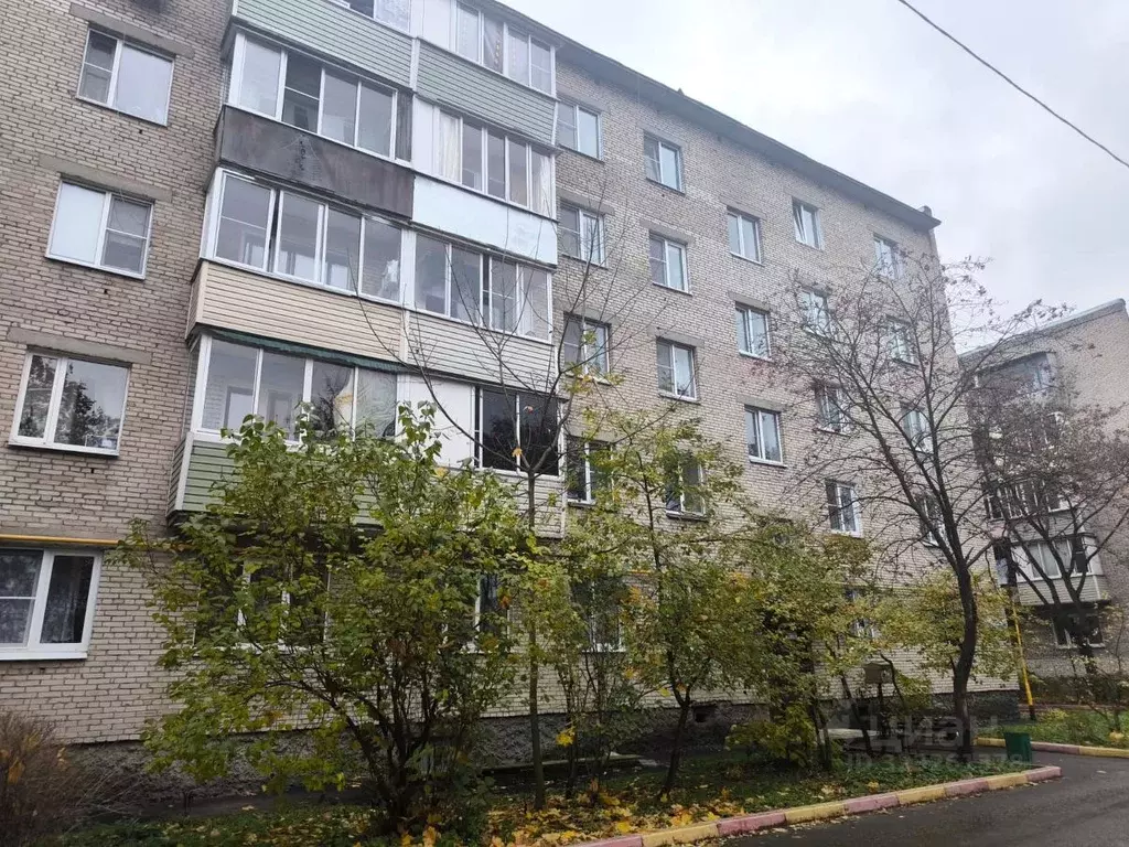 2-к кв. Московская область, Электроугли Богородский городской округ, ... - Фото 1