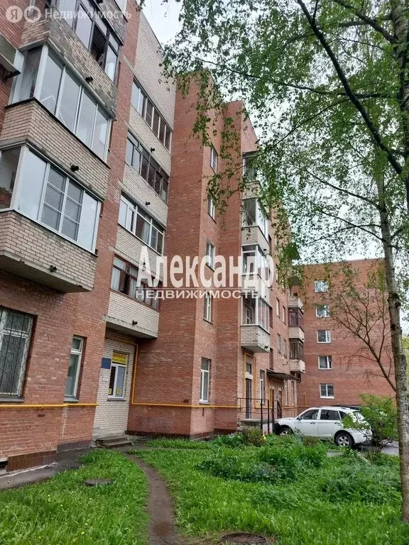 1-комнатная квартира: Петергоф, Зверинская улица, 11 (36.5 м) - Фото 1
