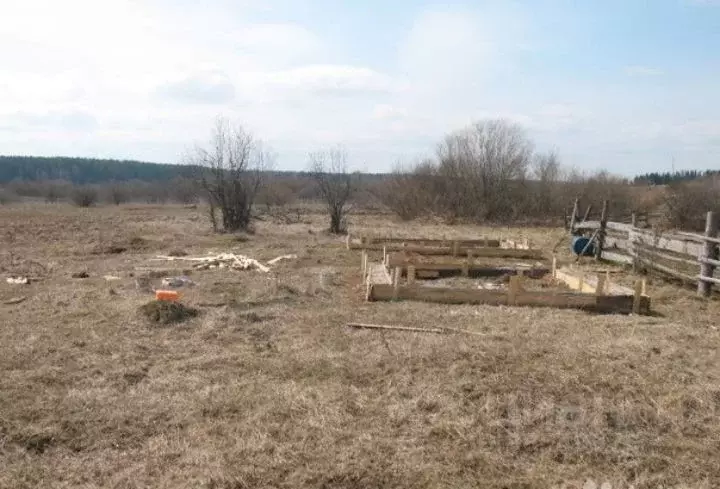 Участок в Пермский край, Ильинский городской округ, с. Дмитриевское ... - Фото 0