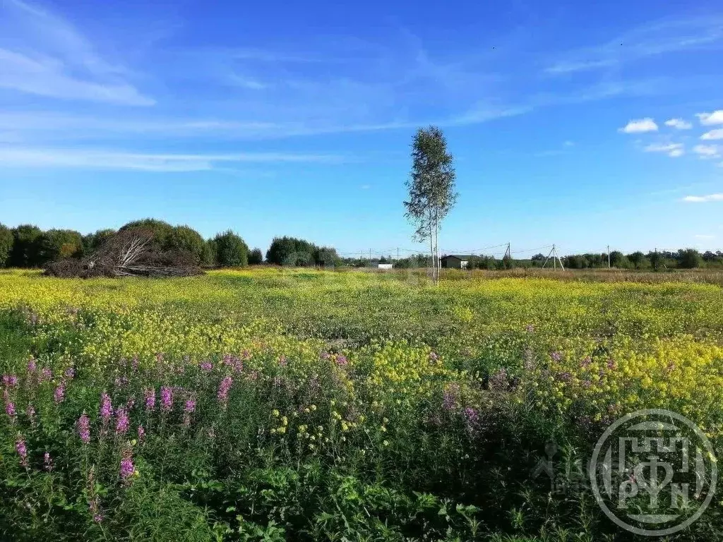 Участок в Ленинградская область, Ломоносовский район, Кипенское с/пос, ... - Фото 1