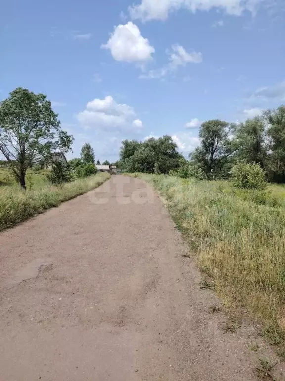 Участок в Мордовия, Лямбирский район, Пензятское с/пос, с. Тарасполь  ... - Фото 2