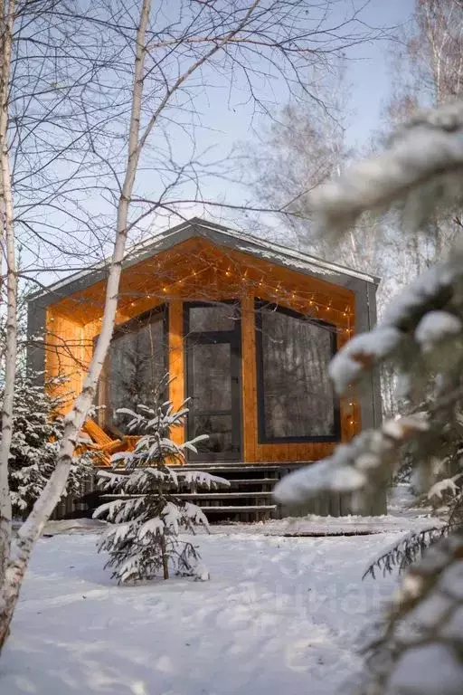 Дом в Омская область, Омский район, Пушкинское с/пос, д. Ракитинка ул. ... - Фото 1
