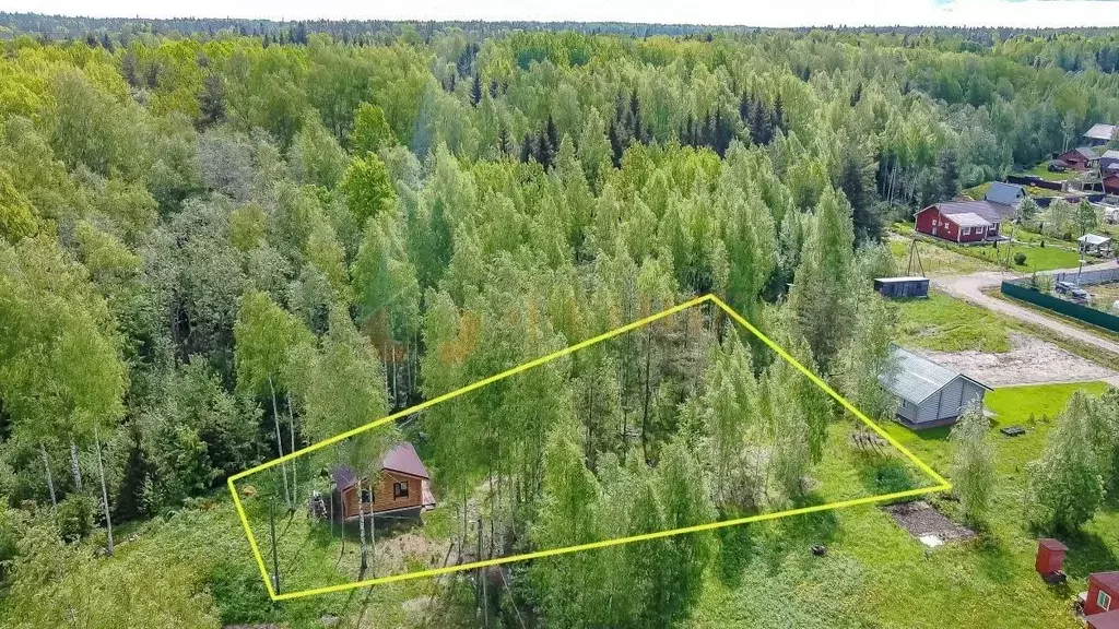 Участок в Ленинградская область, Ломоносовский район, Лопухинское ... - Фото 1
