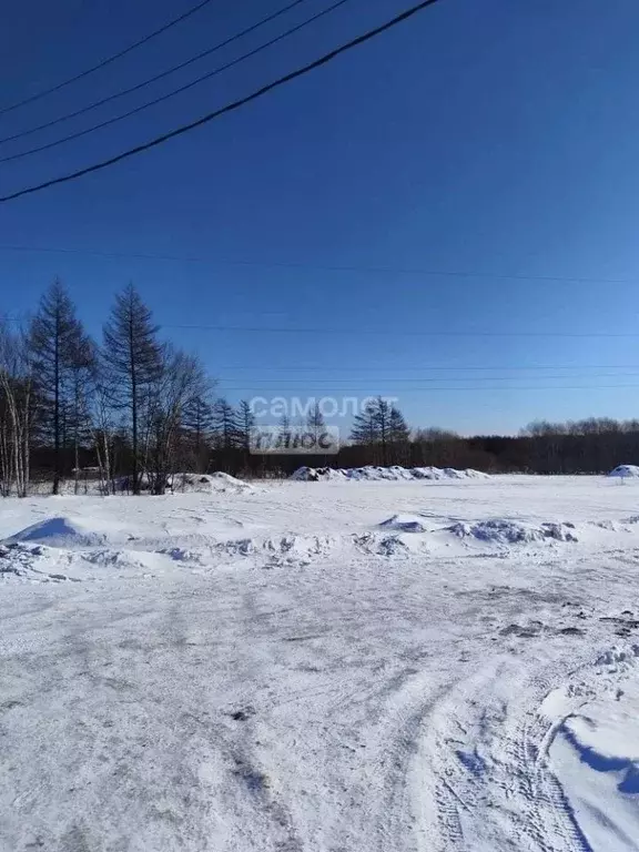 Участок в Сахалинская область, Анивский городской округ, с. Мицулевка ... - Фото 1