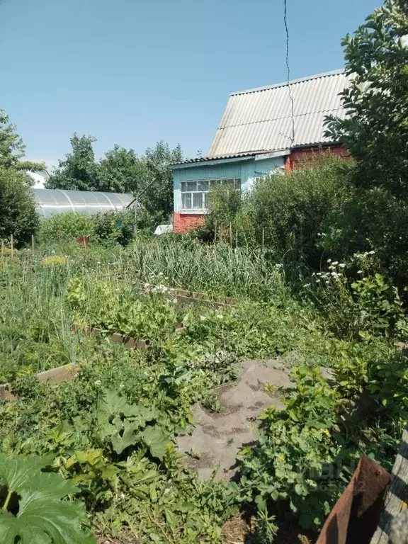 Дом в Омская область, Омск Бодрость-1 СНО, аллея 2-я (18 м) - Фото 2