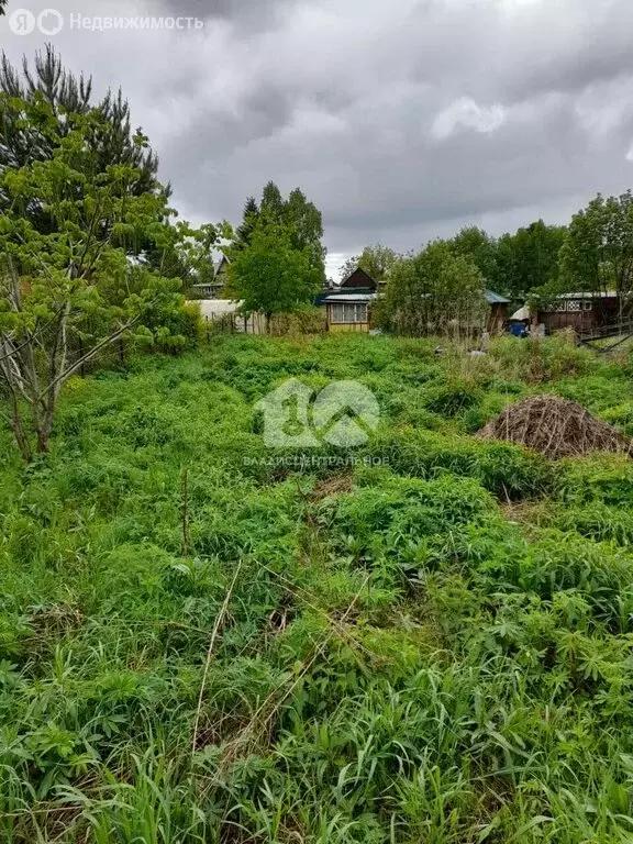 Участок в Новосибирский район, Берёзовский сельсовет, СНТ Междуречье, ... - Фото 2