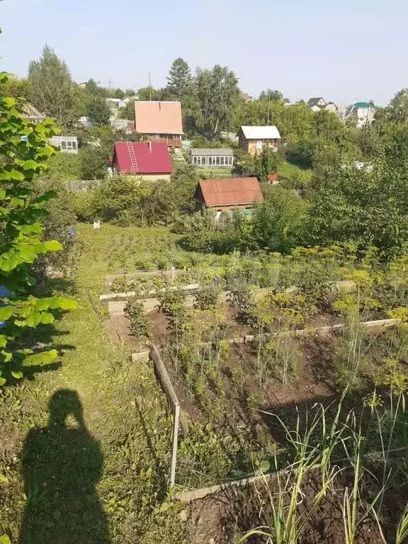 Участок в Красноярский край, Красноярск Заря АК - 1265 СНТ,  (9.3 ... - Фото 1