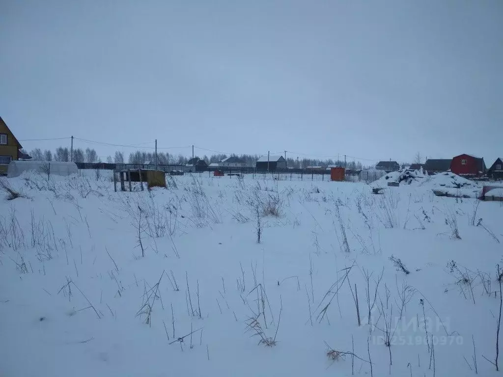 Участок в Новгородская область, Новгородский район, Ракомское с/пос, ... - Фото 1