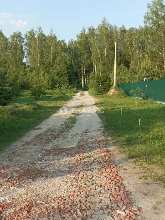 Участок в Владимирская область, Судогодский район, Лавровское ... - Фото 1