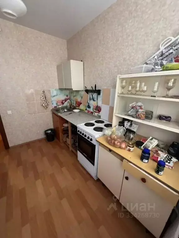 1-к кв. Московская область, Ногинск Богородский городской округ, ул. ... - Фото 2