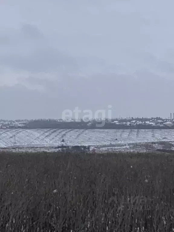 Участок в Белгородская область, Белгородский район, Головинское с/пос, ... - Фото 1