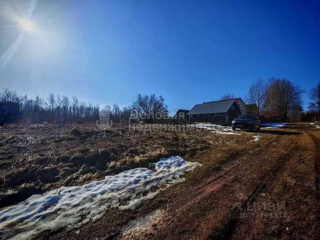 Участок в Новгородская область, Крестецкий муниципальный округ, д. ... - Фото 2