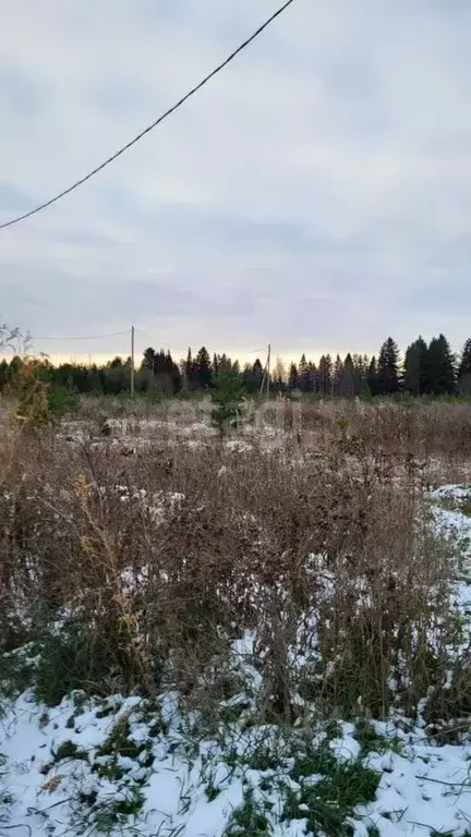 Участок в Пермский край, Краснокамский городской округ, пос. Ласьва  ... - Фото 0