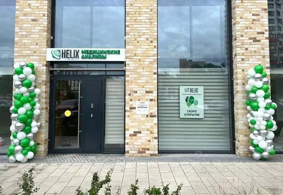 Помещение свободного назначения в Ленинградская область, Ломоносовский ... - Фото 1