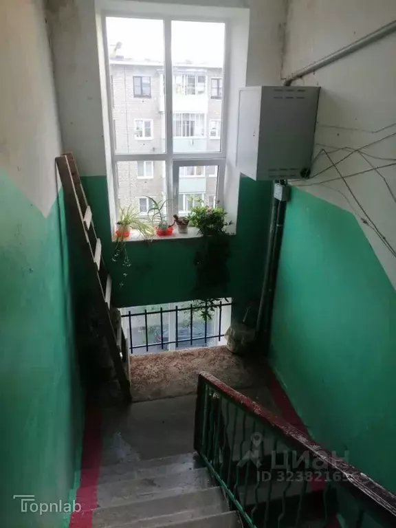 3-к кв. Тульская область, Алексин ул. Героев Алексинцев, 17 (54.9 м) - Фото 1