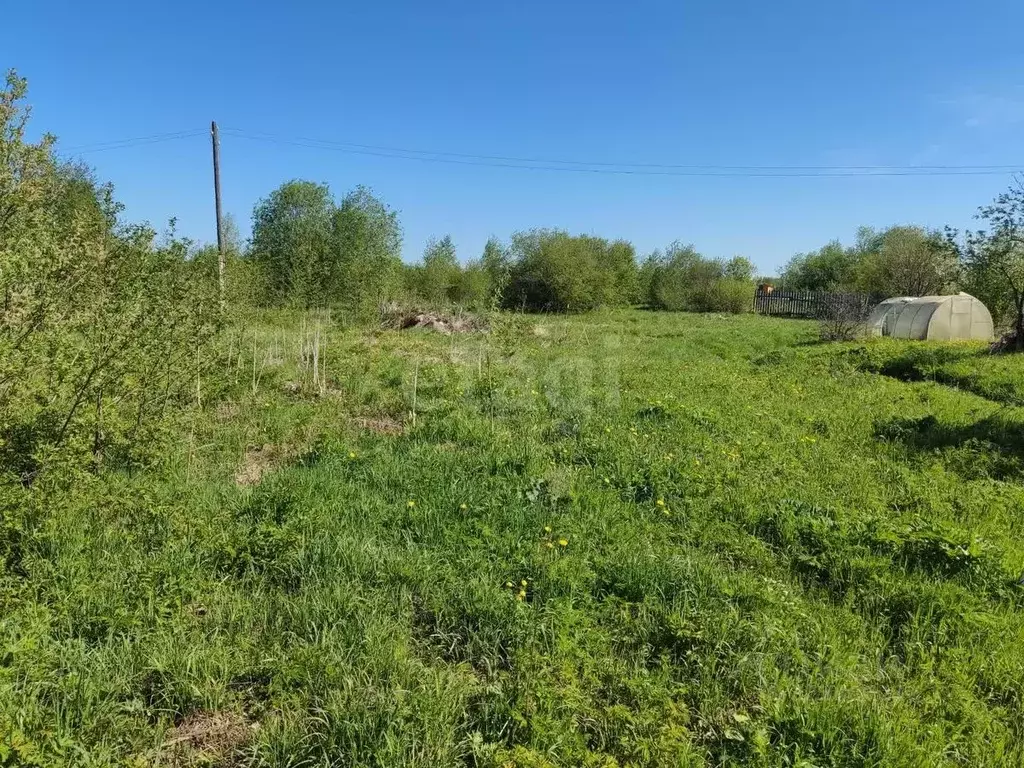 Участок в Вологодская область, Репка садоводческое товарищество  (7.82 ... - Фото 2