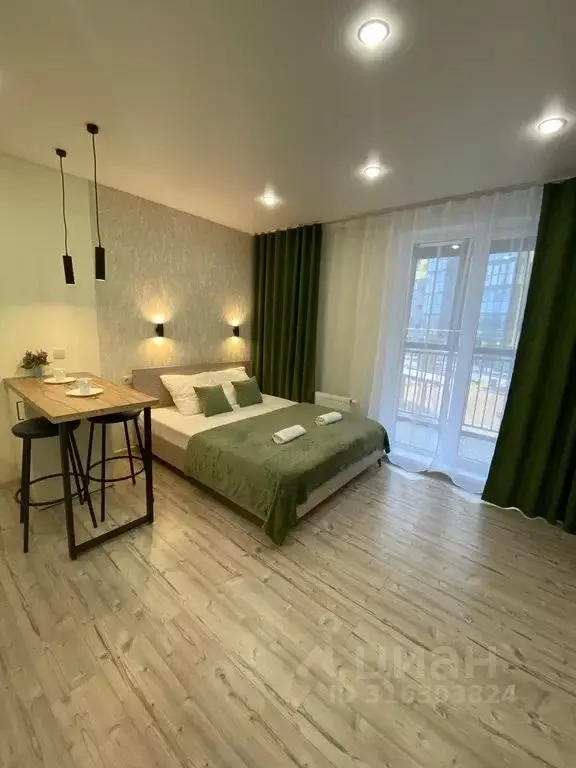 Студия Красноярский край, Красноярск Свободный просп., 66Л (30.0 м) - Фото 0