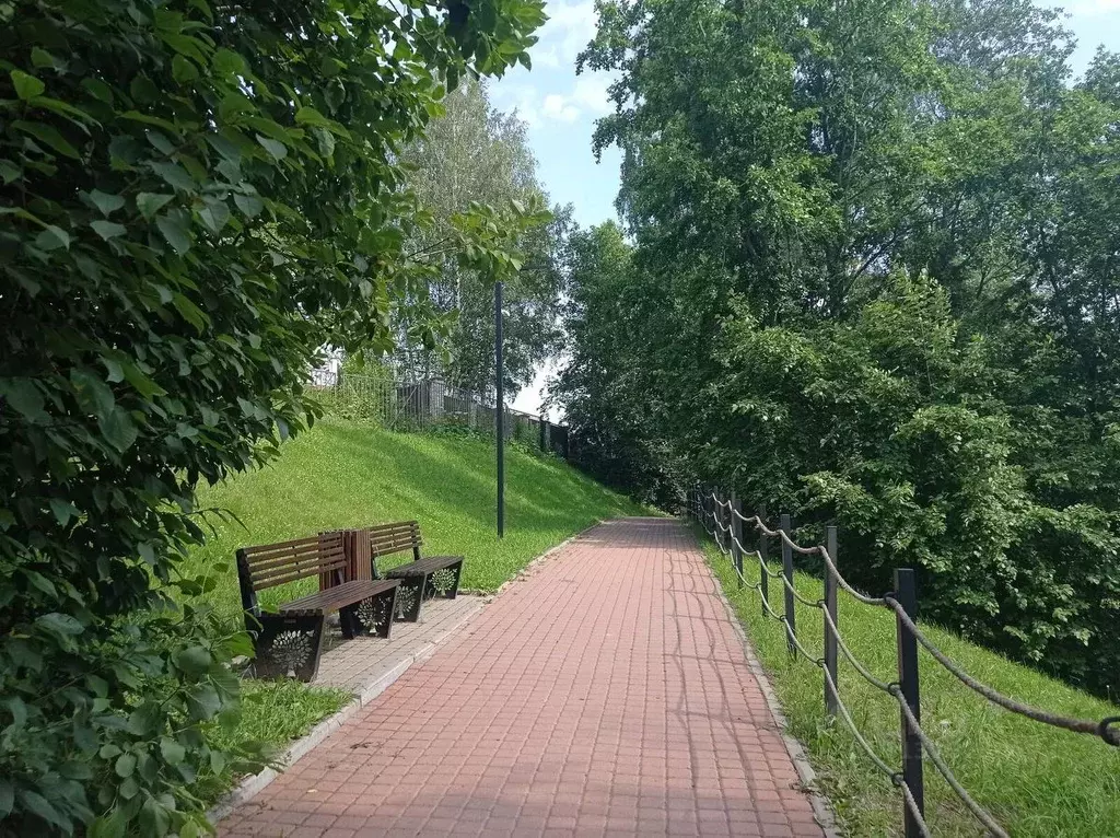 2-к кв. Ленинградская область, Всеволожск ул. Шевченко, 12к1 (47.0 м) - Фото 2