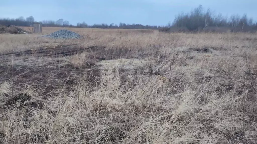 Участок в Тюменская область, Тюмень Тобольский тракт (7.41 сот.) - Фото 1