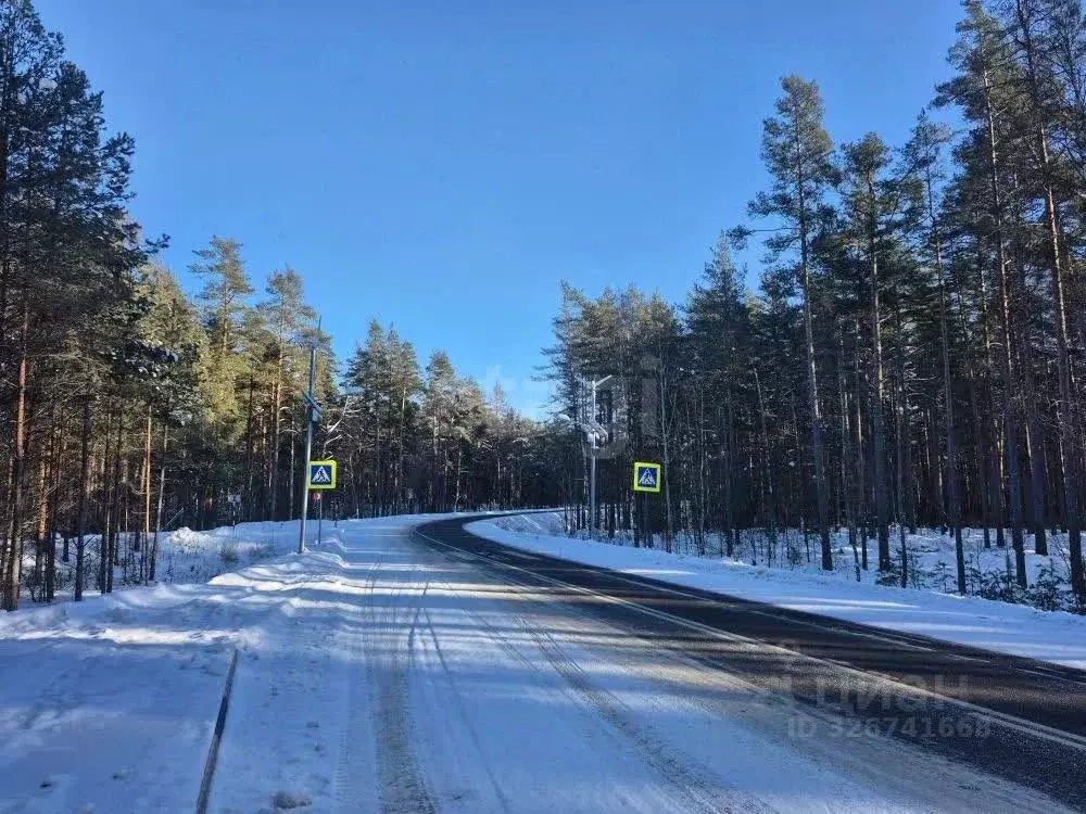 Участок в Псковская область, Печорский муниципальный округ, д. Лисье  ... - Фото 2