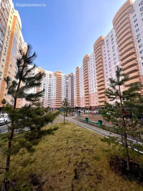 2-комнатная квартира: Оренбург, улица 1 Мая, 61/2 (58 м) - Фото 1