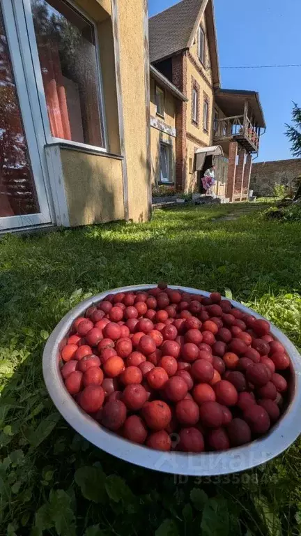 Участок в Калининградская область, Гурьевский муниципальный округ, ... - Фото 2