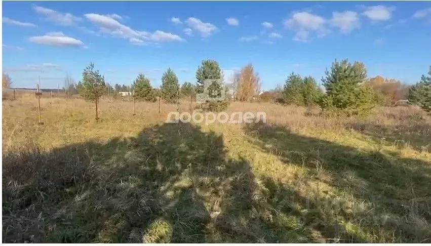 Участок в Свердловская область, Белоярский муниципальный округ, д. ... - Фото 2