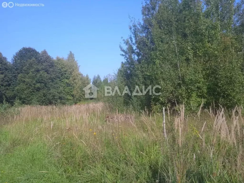 Участок в муниципальное образование Новосельское, СТ Сенино-2 (6 м) - Фото 0
