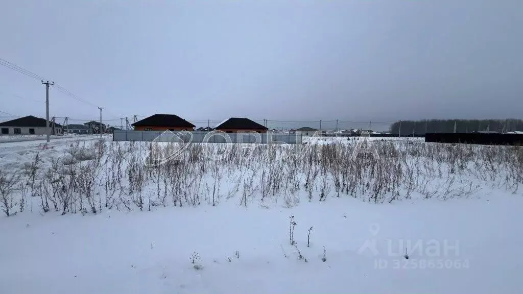 Участок в Тюменская область, Тюменский муниципальный округ, с. Кулига, ... - Фото 1