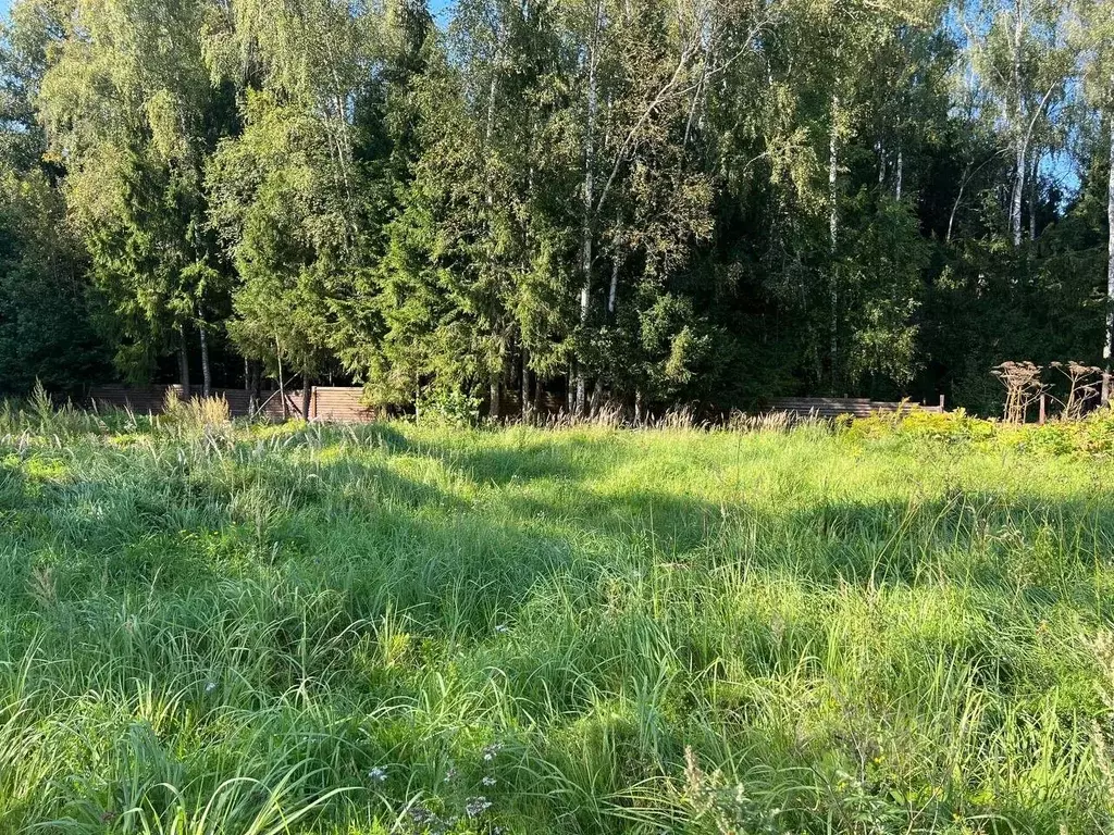 Участок в Москва Лесное озеро кп, 38 (25.0 сот.) - Фото 1