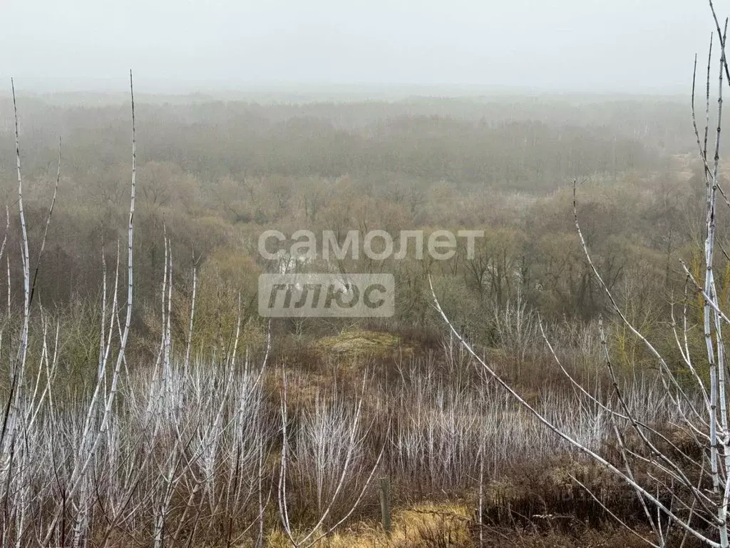 Участок в Брянская область, Брянский район, Супоневское с/пос, с. ... - Фото 2