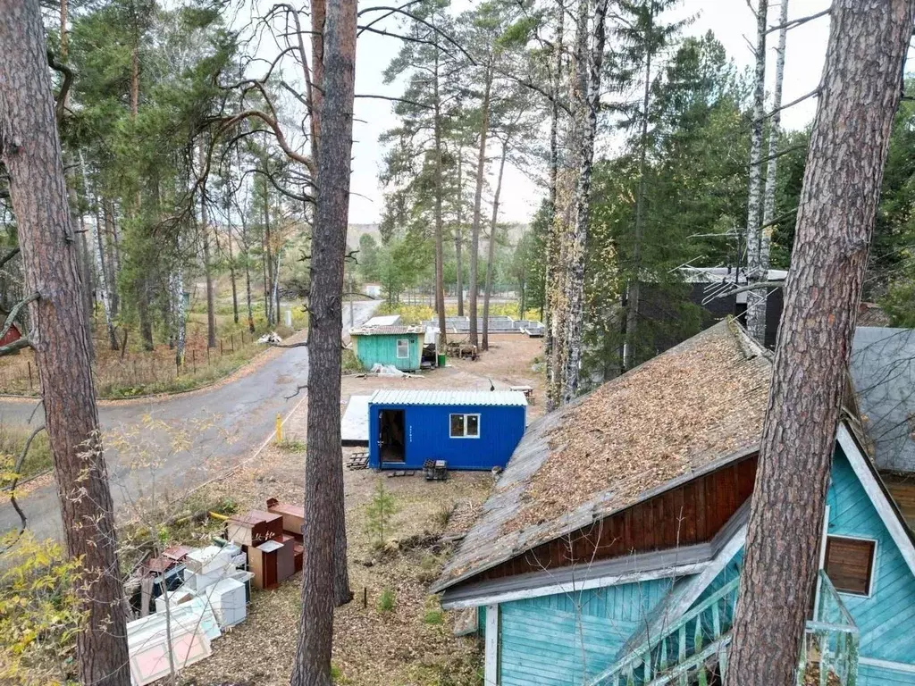 Участок в Новосибирская область, Новосибирск Локис кп,  (10.0 сот.) - Фото 2