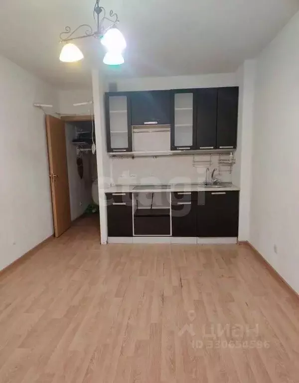 Студия Санкт-Петербург Кондратьевский просп., 64к9 (23.8 м) - Фото 1