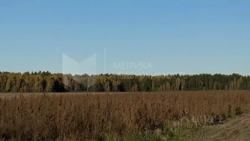 Участок в Тюменская область, Тюменский муниципальный округ, с. Каменка ... - Фото 1