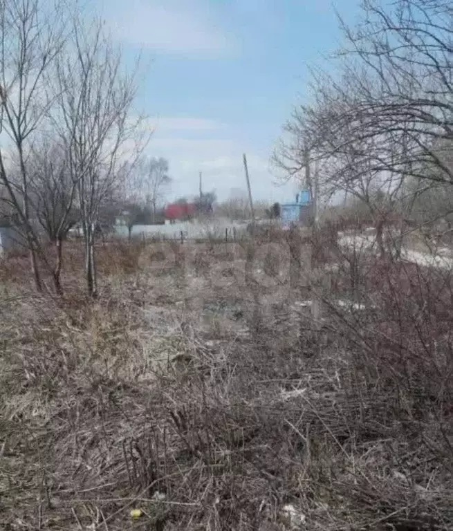 Участок в Амурская область, Свободный Амурская ул. (18.39 сот.) - Фото 1