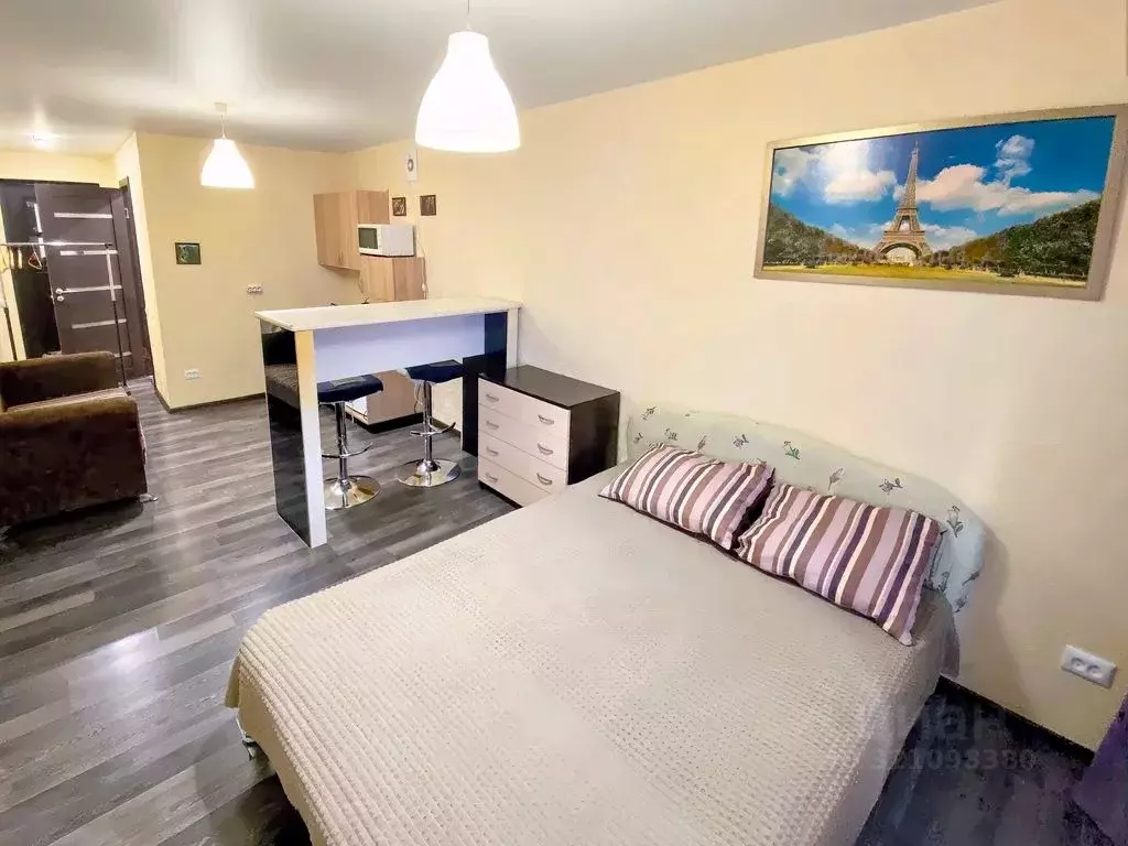 Студия Саратовская область, Саратов Огородная ул., 157 (27.0 м) - Фото 1