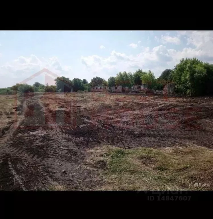 Участок в Нижегородская область, Арзамас городской округ, с. Васильев ... - Фото 1