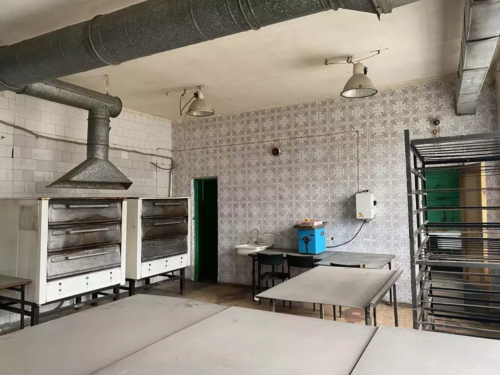 Производственное помещение в Омская область, Омск ул. Вавилова, 227 . - Фото 1