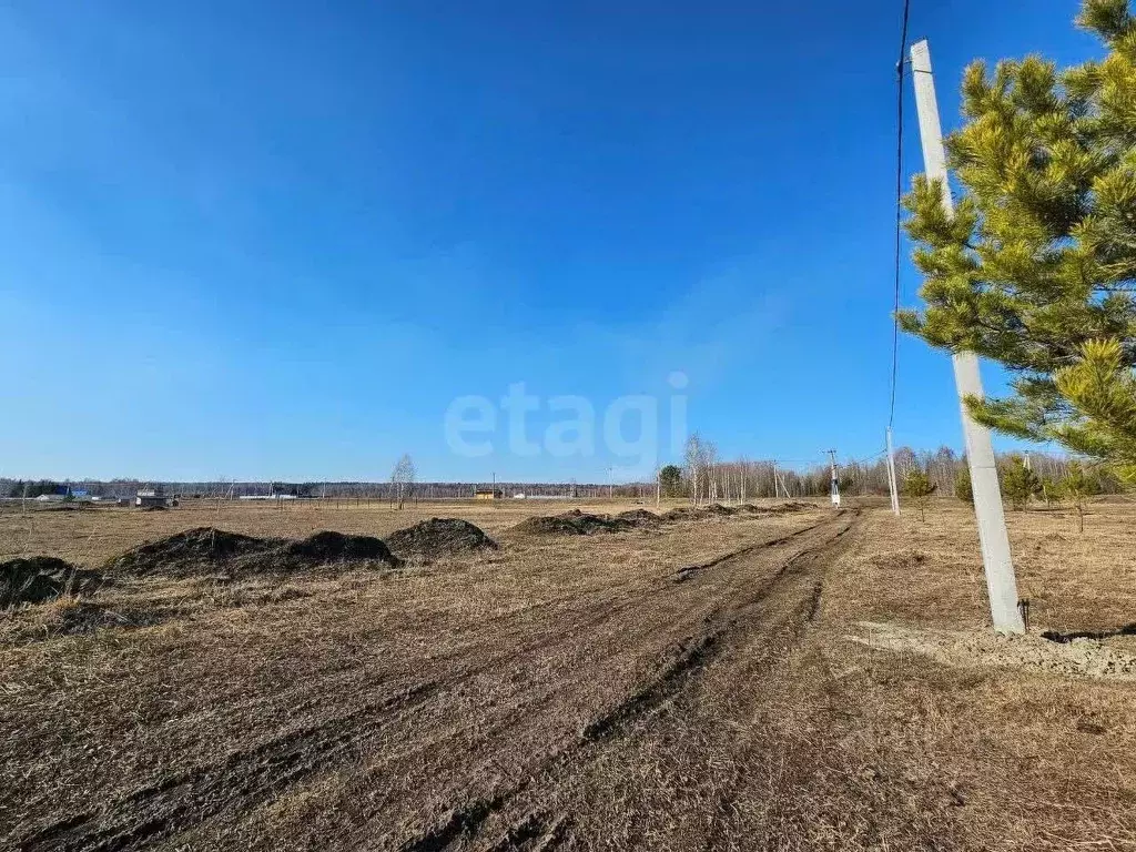 Участок в Тюменская область, Нижнетавдинский муниципальный округ, ... - Фото 0