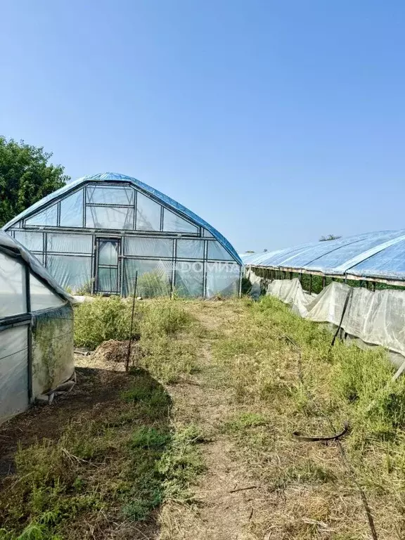 Участок в Ростовская область, Октябрьский район, Кривянское с/пос, ... - Фото 2