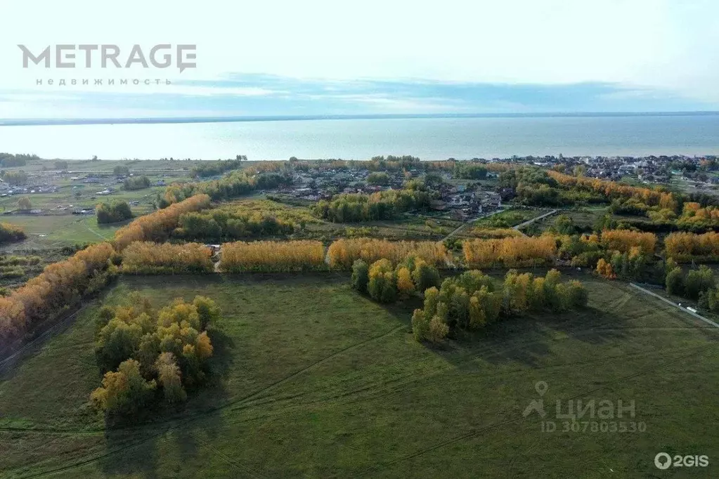 Участок в Новосибирская область, Новосибирский район, Морской ... - Фото 1