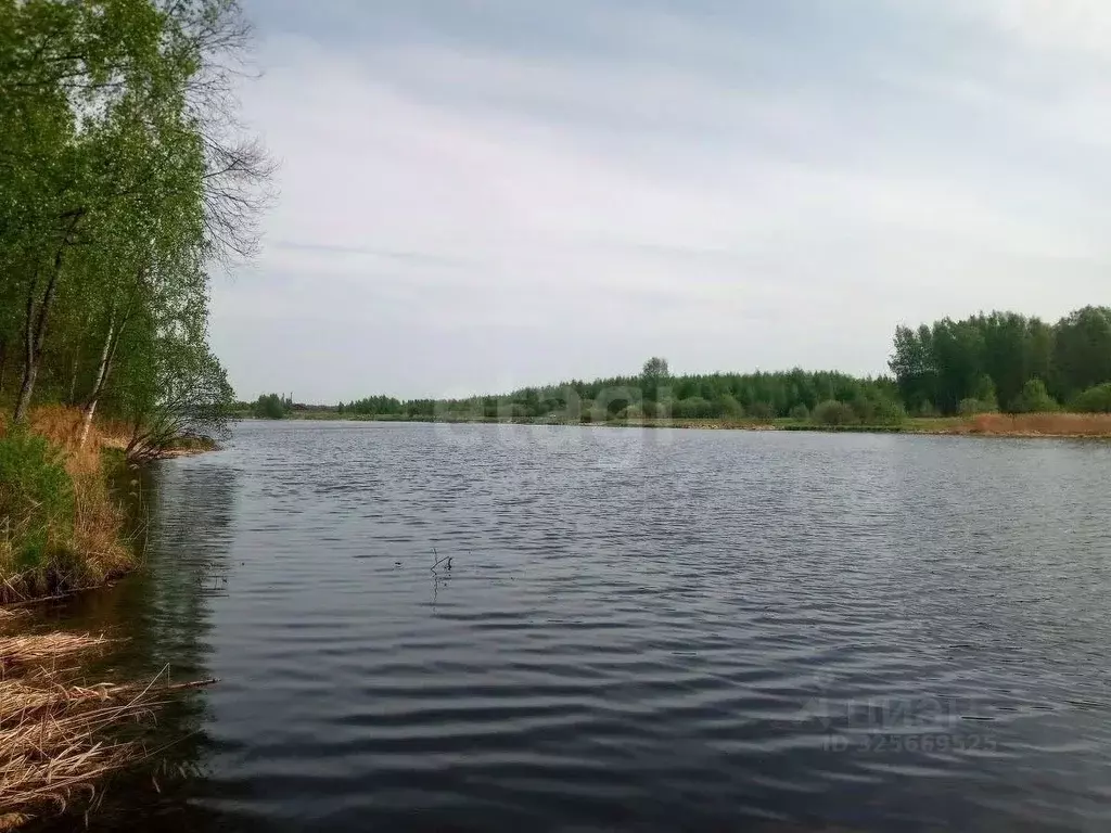 Участок в Костромская область, Красносельский район, Сидоровское ... - Фото 2