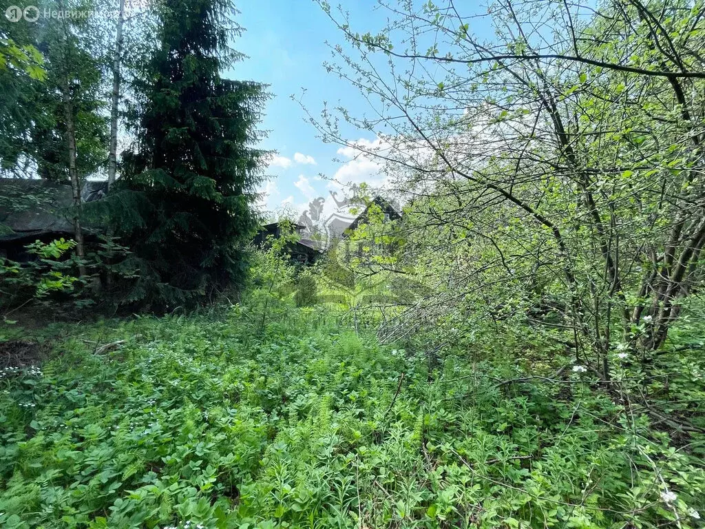 Участок в Кировский район, Синявинское городское поселение, ... - Фото 0