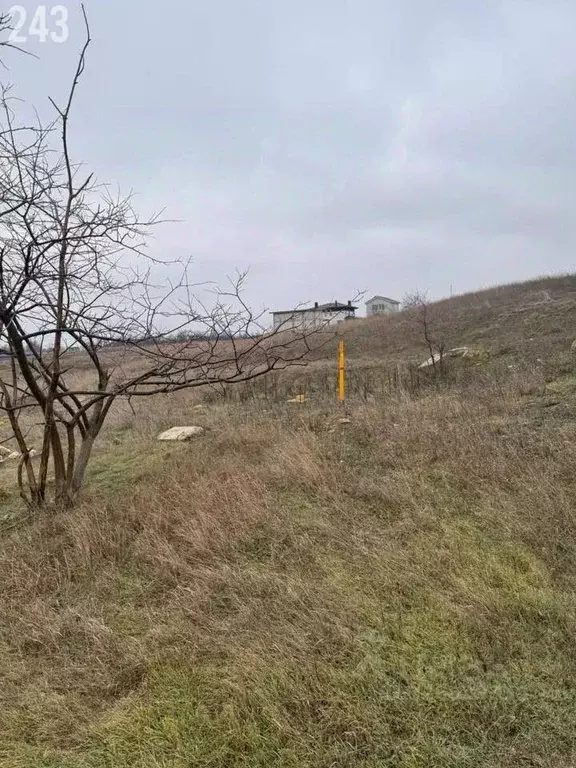 Участок в Крым, Феодосия ул. Вити Коробкова (6.8 сот.) - Фото 2