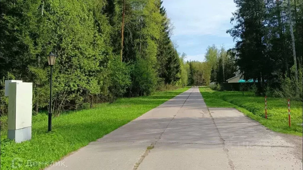 Участок в Московская область, Пушкинский городской округ, д. Могильцы  ... - Фото 1